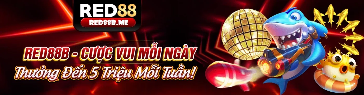 Các chương trình khuyến mãi và ưu đãi độc quyền tại ee66 app