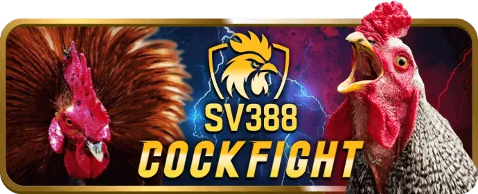 Bước 4: Xác nhận và Hoàn tất